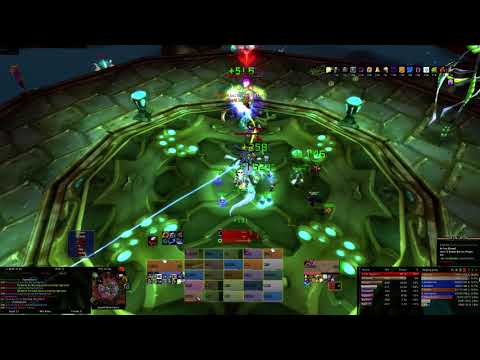 Anti Venom - Lady Vashj ( Resto Druid POV)