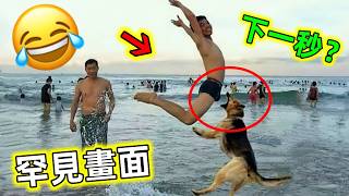 😂開心的遊玩卻遇上糟心的事！你永遠不知道下一秒會發生什麼事情#搞笑 #搞笑視頻 #人類迷惑行為 #尷尬瞬間 #搞笑瞬間 #世界之最 #老王看世界