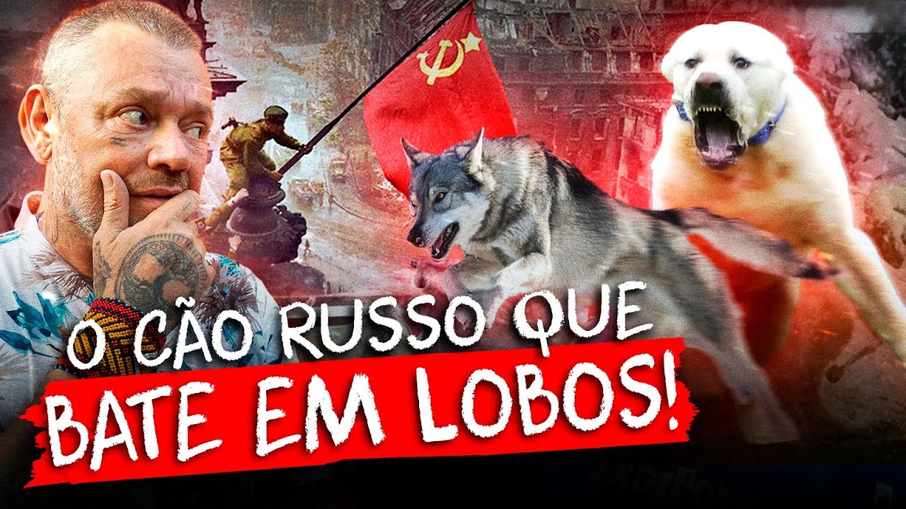 ALABAI, O CÃO DO EXERCITO VERMELHO! | RICHARD RASMUSSEN