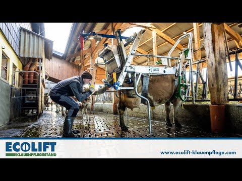 Ecolift Klauenpflegestand
