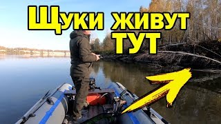 Рыбалка осенью на щуку
