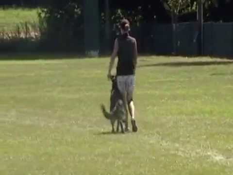 Ynox vom Weinbergblick