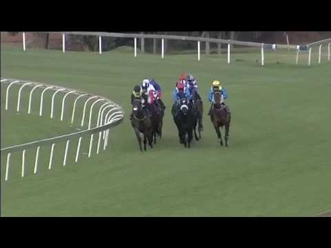 2017.04.01 Horse Chestnut Stakes (RSA) - Legal Eagle