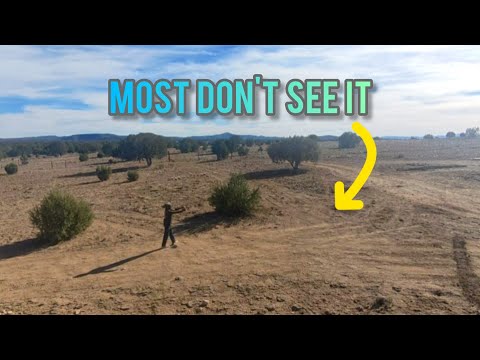 Unlocking Desert Ecosystems' Hidden Biodiversity