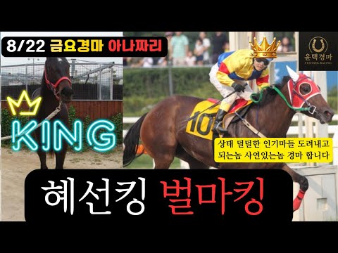 8/22 -윤텍-금요경마 아나짜리 이유있는 경마 하겠습니다