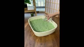 Catmi Green tea tofu cat litter