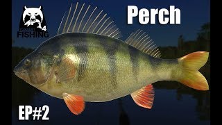 Russian Fishing 4 - English - Monster Perch and Bream -  EP#2