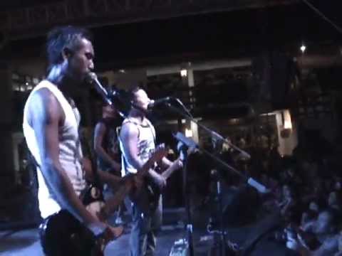 COLLIE Herbman - FRANCO