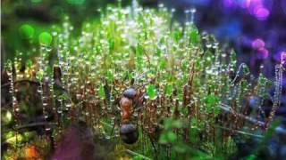 Matthew Herbert - These Branded Waters