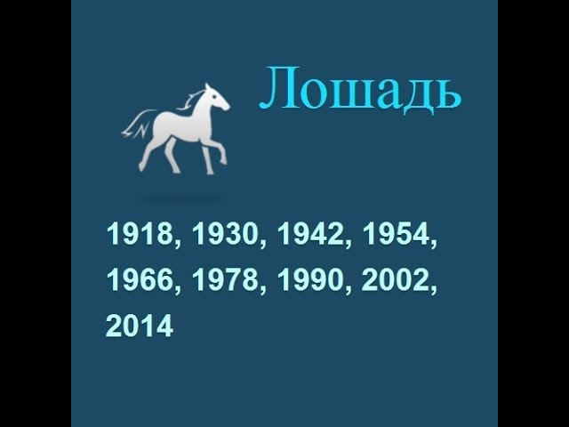 Лошадь знак зодиака года. Лошадь по году рождения. Лошадь знак зодиака. Год лошади года рождения. Года рождения лошади по гороскопу.