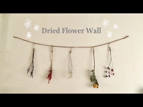 download lagu mp3 mp4 Dried Flowers Aesthetic, download lagu Dried Flowers Aesthetic gratis, unduh video klip Dried Flowers Aesthetic