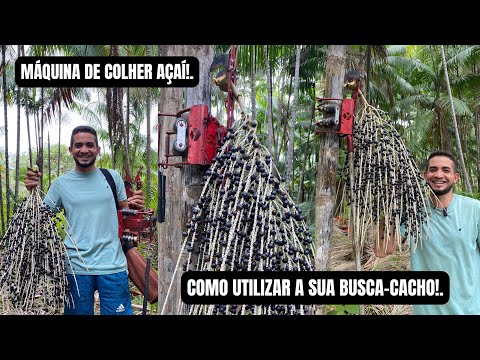 MÁQUINA DE COLHER AÇAÍ - A BUSCA-CACHO