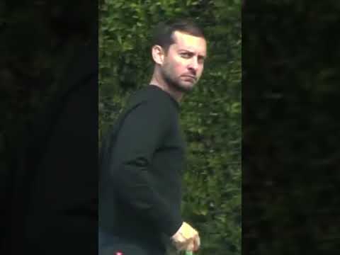 Spider-Man: Leave Me Alone