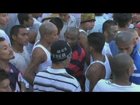 download lagu mp3 mp4 El S De Mara, download mp3 El S De Mara free downloadn, video klip El S De Mara