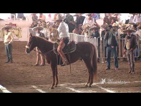Piales en el lienzo - Cuartos de final del Nacional Charro Nayarit 2013