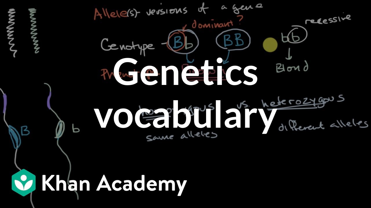 Genetics vocabulary | Inheritance and variation | Middle school biology | Khan Academy