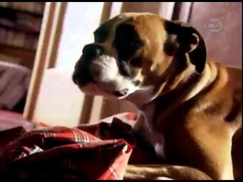 Zbohom Zasadam Robo Grigorov