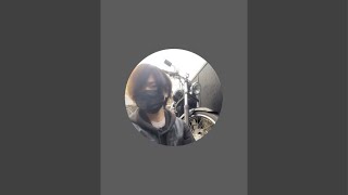 ひとり森でキャンプ配信🏕️