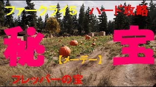 ファークライ５ 　攻略【メーデー】プレッパーの宝