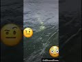 REAL mermaid swimming under boat
