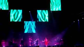 Scissor sisters Skin This Cat