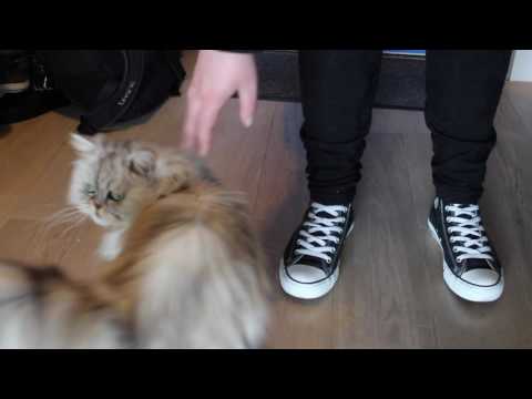 Student journalistiek maakte een videoportret over mij!