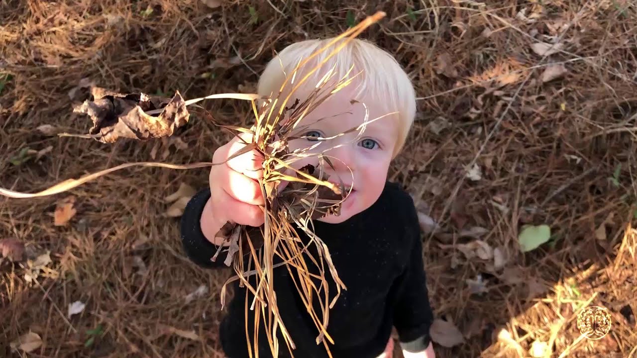 Willow Roots - Learning Center