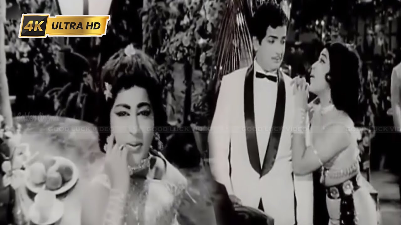 Enakku Theriyum Unakku Song Lyrics | Anbalippu | L. R. Eswari