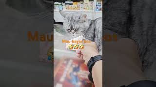 Download lagu kucing penuggu kaser di hk #dangdut #shortvideo #kucinglucu #tkwhongkong mp3 Download lagu kucing penuggu kaser di hk #dangdut #shortvideo #kucinglucu #tkwhongkong mp3