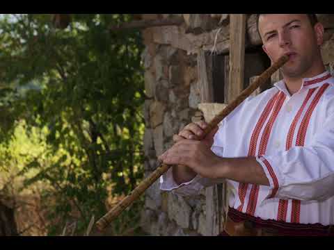 Gajtan oro - Aleksandar Arabadjiev