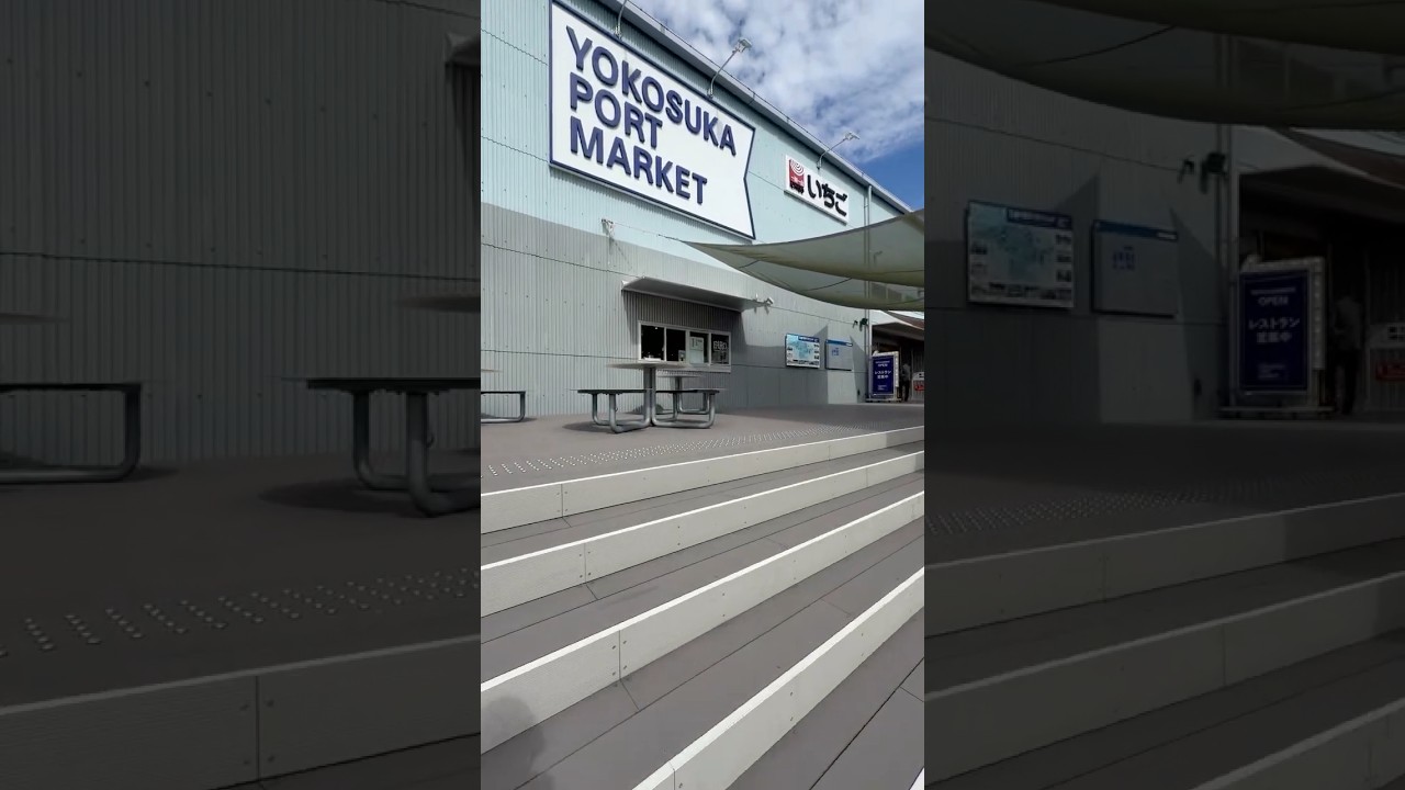 Yokosuka Port Market Tour: Food, Ships, and Harbor Views 🌊