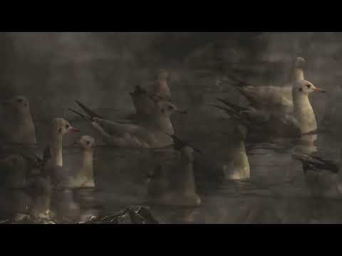 Richard Manta - "Rise Up"