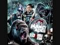 Gorilla Zoe- Mirror