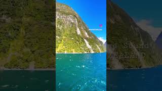 Milford Sound, New Zealand #hollandamerica #westerdam #cruise #scenery #views #fjords #shorts