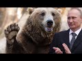 Putin Holds A Show-Stopping, Bear-Loving Press ...