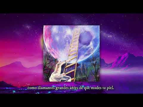 02. QUAJEN - CAMARÓN BRUJO