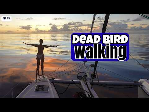 First time sailing more than 1000 nautical miles non-stop across the Pacific