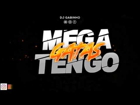 🐱 MEGA TENGO GATAS 🐱 || DJ GABINHO
