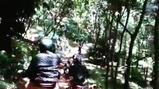 preview picture of video 'Royal Enfield  tagz rider in  puliyoor Forest'
