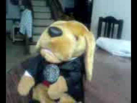 Sathwik's Singing Dog