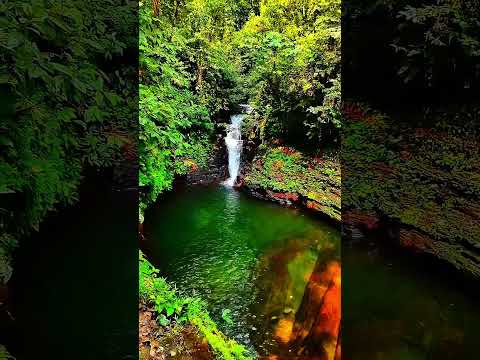 Laguna Azul en Sucumbíos 💚🇪🇨