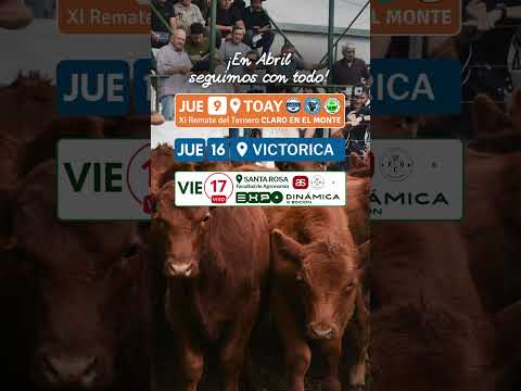 Vicar Ganadera en Abril: Remates en Victorica, Toay, Santa Rosa, General Acha - La Pampa.