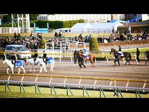 2017.11.26ジャパンカップJC(G1)⑥本馬場入場＆返し馬シュヴァルグラン＆レイデオロ＆キタサンブラック他＠東京競馬場