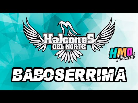 Baboserrima - Halcones del Norte