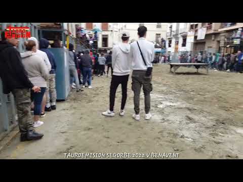 SEGORBE 5 VACA 2022/04/30 VICENTE BENAVENT TAUROEMISION TOROSENDIRECTO#BULLHD1080P