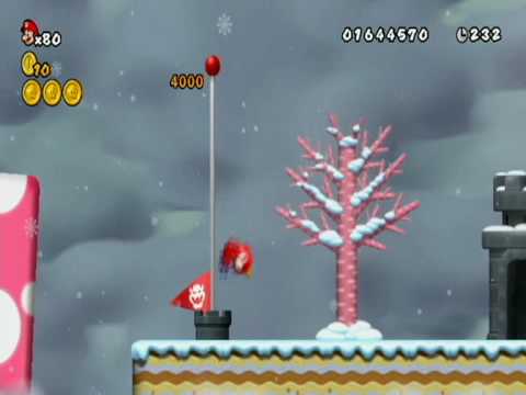 New Super Mario Bros. Wii - 100% J: What does this button do?