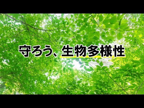 最大の生物多様性は土壌にあります