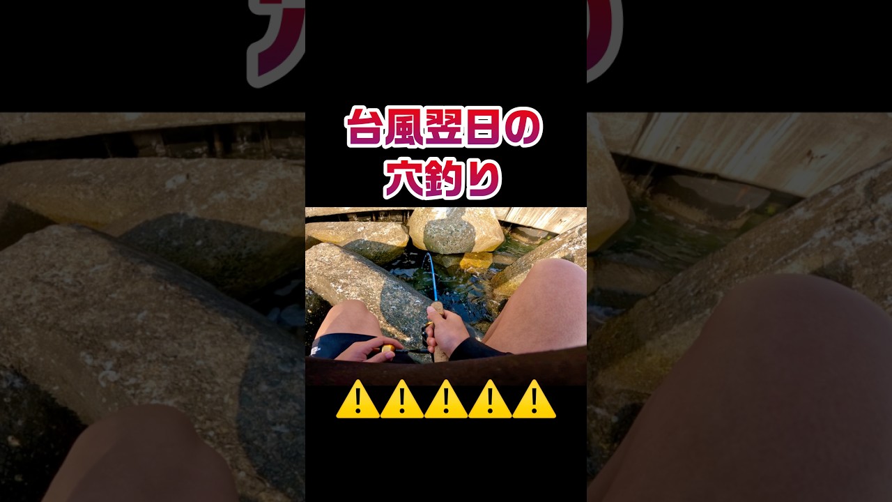 【穴釣り】台風翌日の穴釣りが最強すぎた。#穴釣り