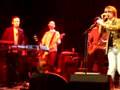 Divine Comedy - Diva Lady
