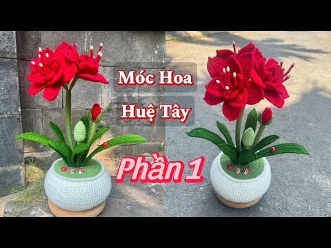 Chậu hoa huệ tây